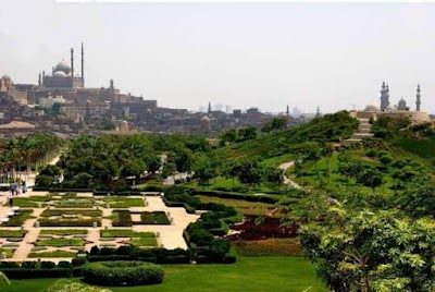 Egypt 25
