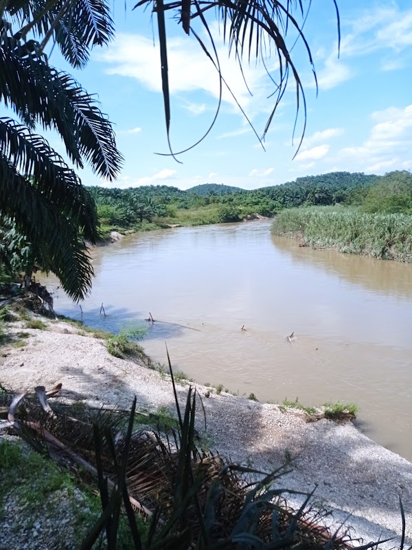 Selangor River