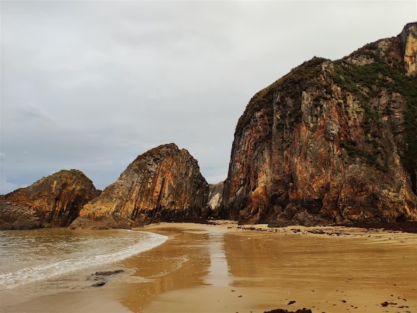 Playa del Oso