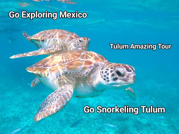 GO Snorkeling Tulum
