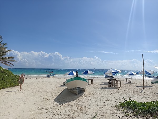 GO Snorkeling Tulum 5