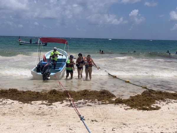 GO Snorkeling Tulum 3