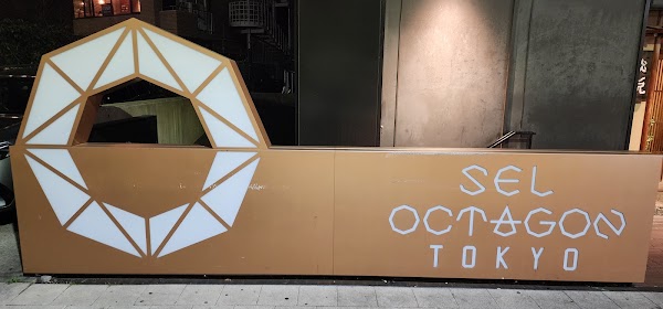 SEL OCTAGON TOKYO night club 2