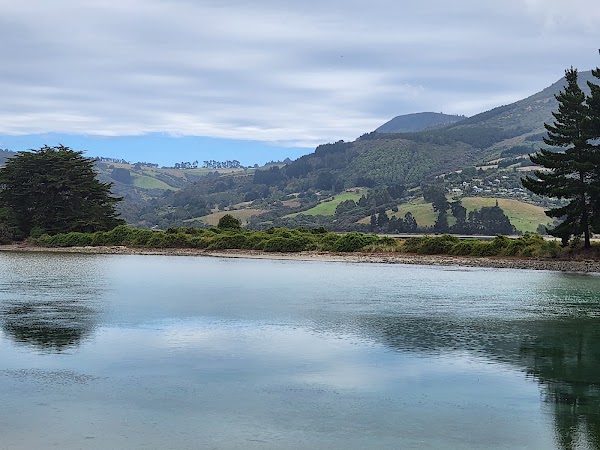 Purakaunui Estuary Track