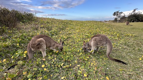 Crowdy Bay National Park 2