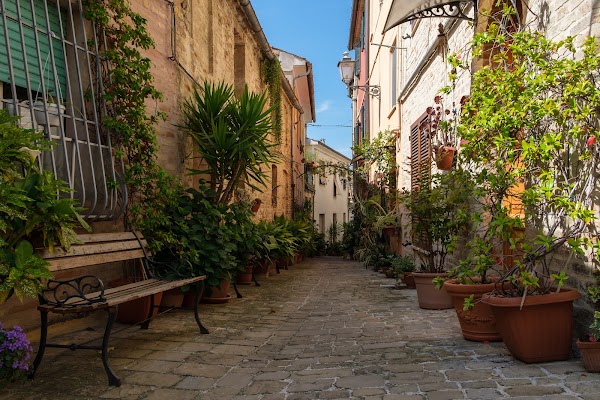 Montecassiano 2
