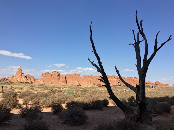 Sand Dune Arch 5
