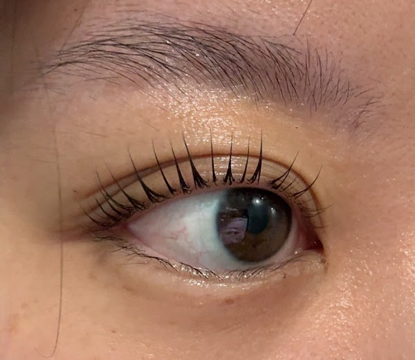 Uốn mi Mori Đà Nẵng 🌱 Lash Lift 🫶🏻 Brow Lamination - Định hình lông mày - Threading - Se chỉ - Brow tint 5