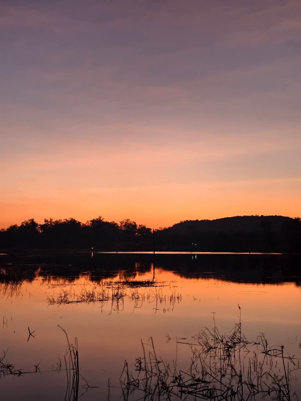 Dong Yai Wildlife Sanctuary