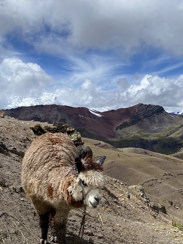 Montaña de Colores 2