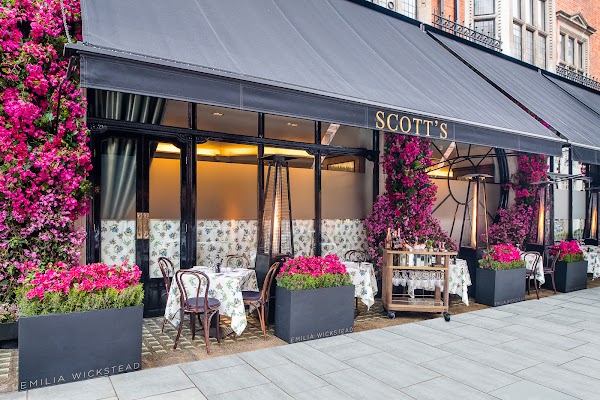 Scott's