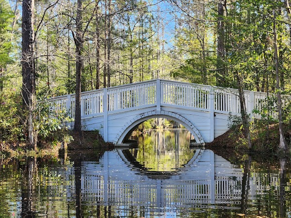 Cypress Gardens 4