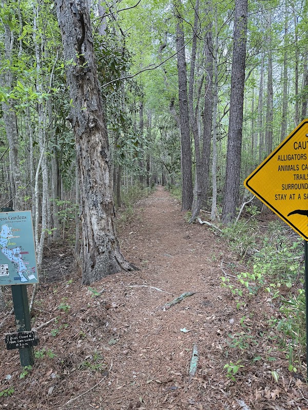 Cypress Gardens 2