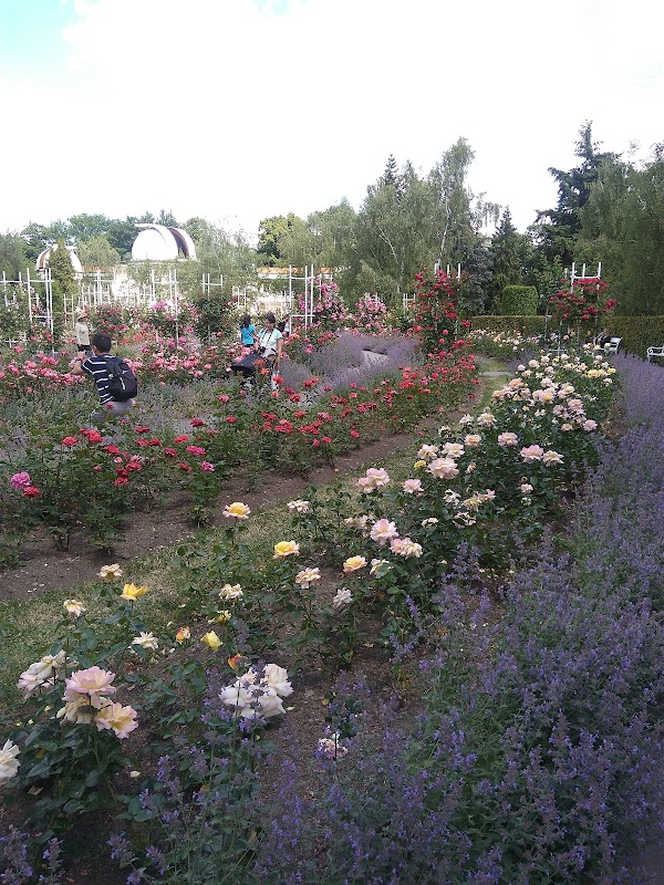 Rose Garden