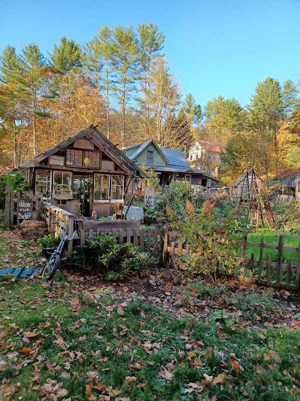 Bee Well Homestead