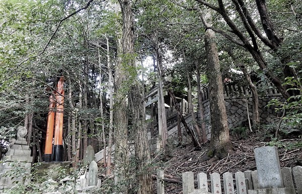 大岩神社 3