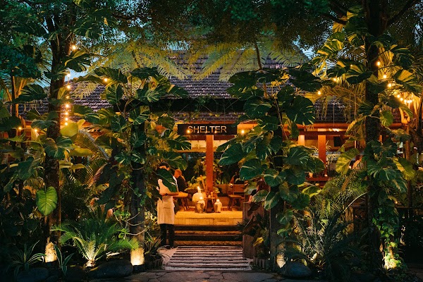 Shelter Restaurant 3