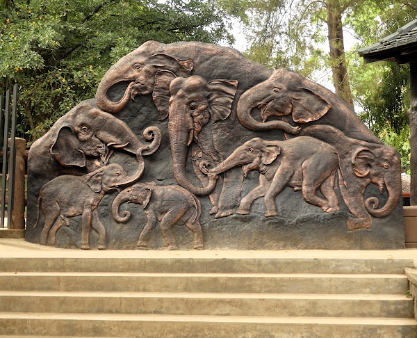 Pinnawala Elephant Orphanage 5