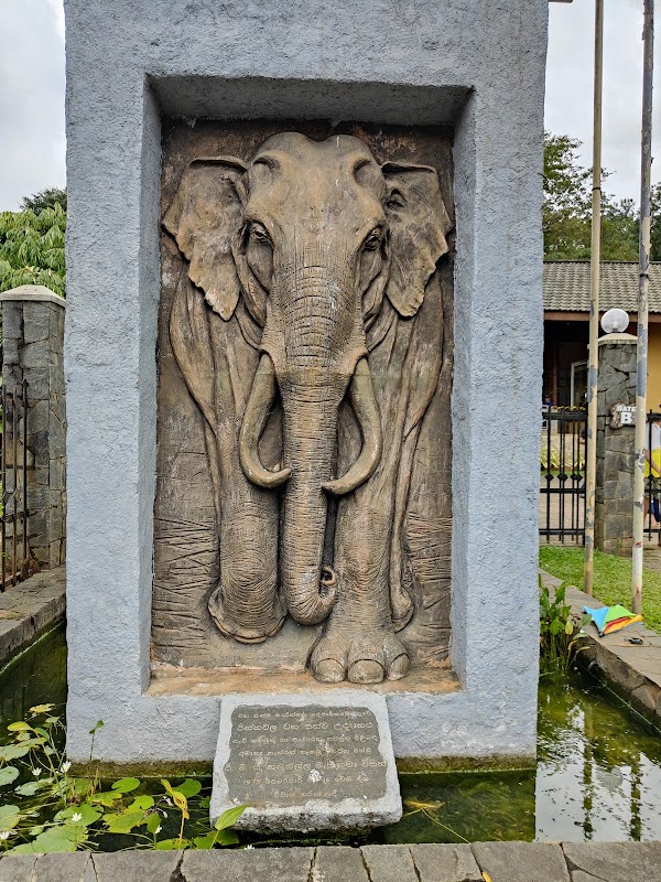 Pinnawala Elephant Orphanage 3
