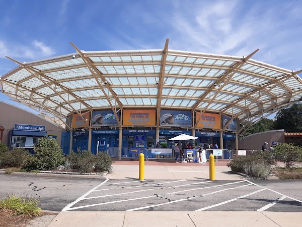 Mystic Aquarium