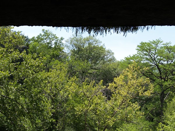 Hamilton Pool Road 2