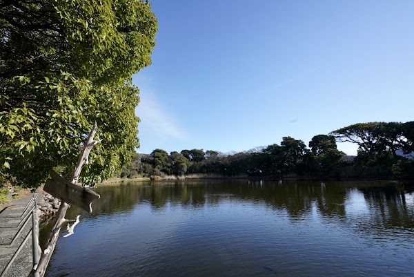 Cape Ose 3