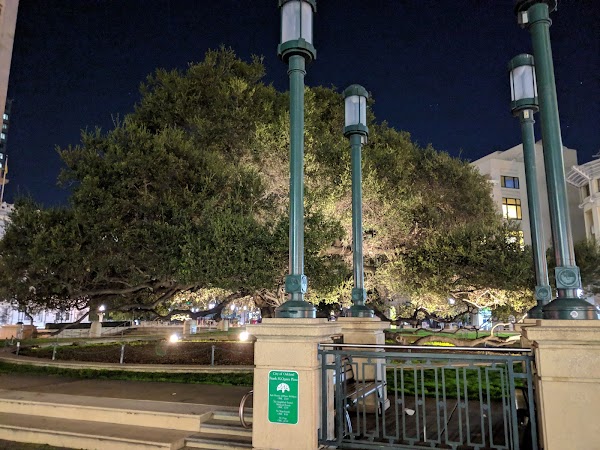 Frank H. Ogawa Plaza 4