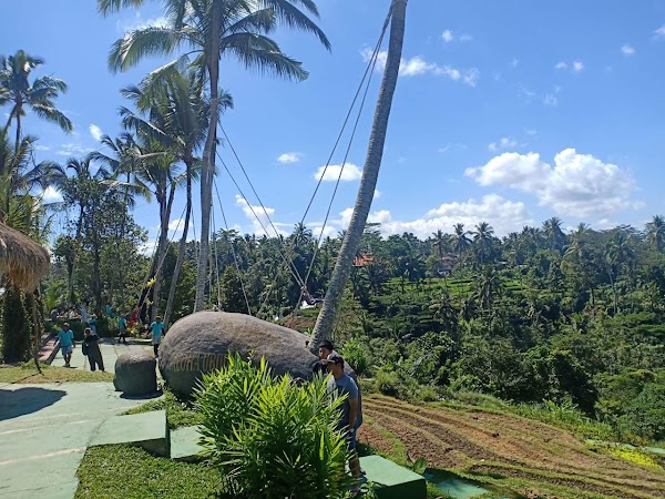 Rice Terraces, Lemaya 5