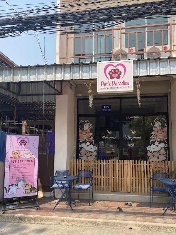 Pet's Paradise Cat Café