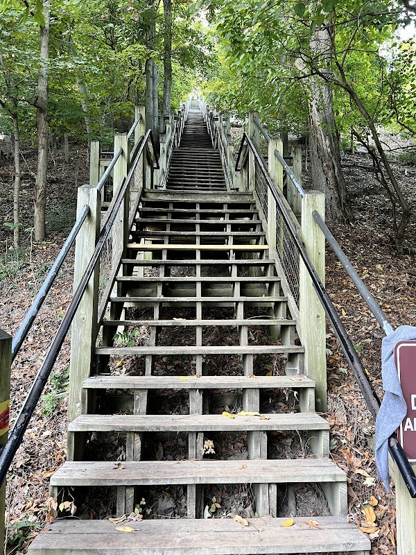 Mount Baldhead