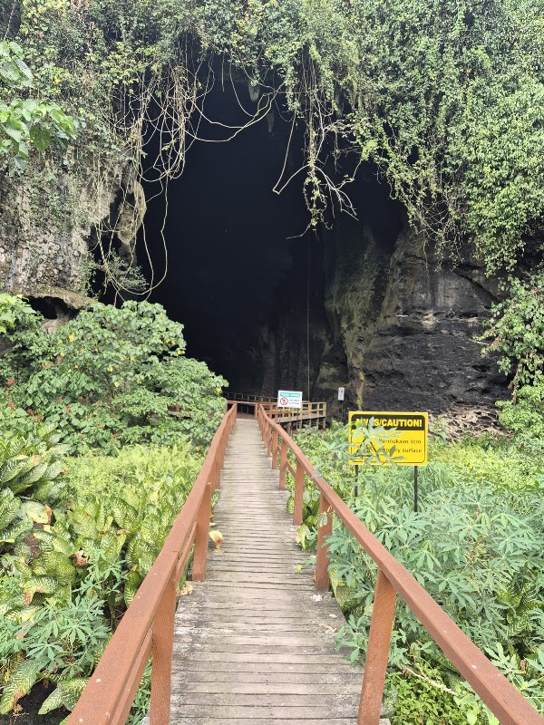 Gomantong Caves 5