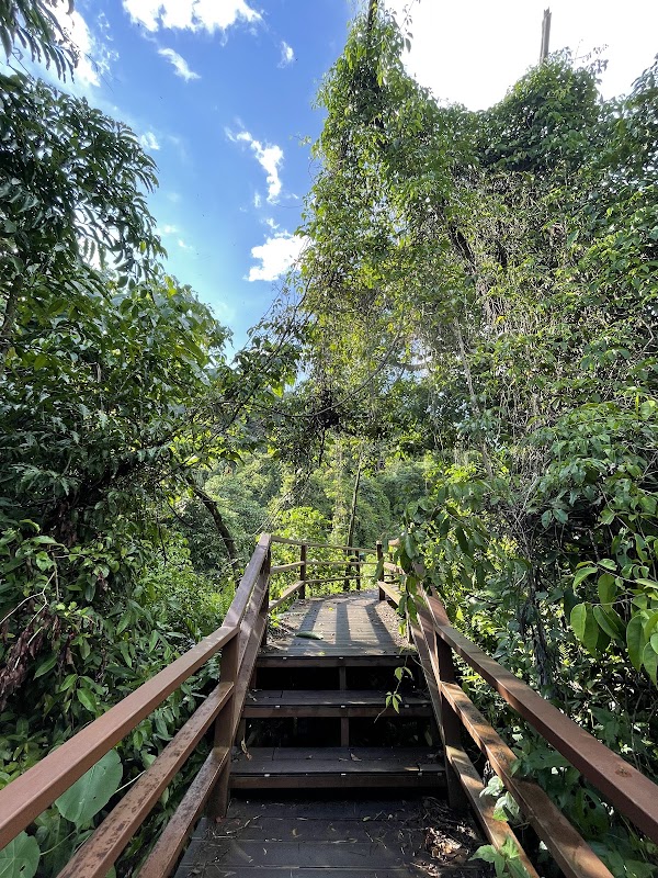 Gomantong Caves 4