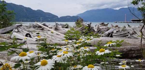 Squamish 2