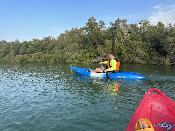 Eastern Mangrove National Park 5