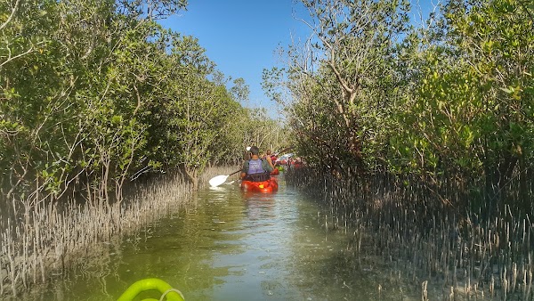 Eastern Mangrove National Park 4