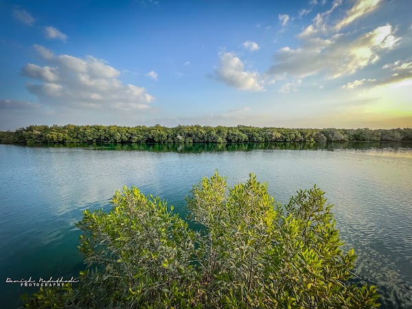 Eastern Mangrove National Park 2