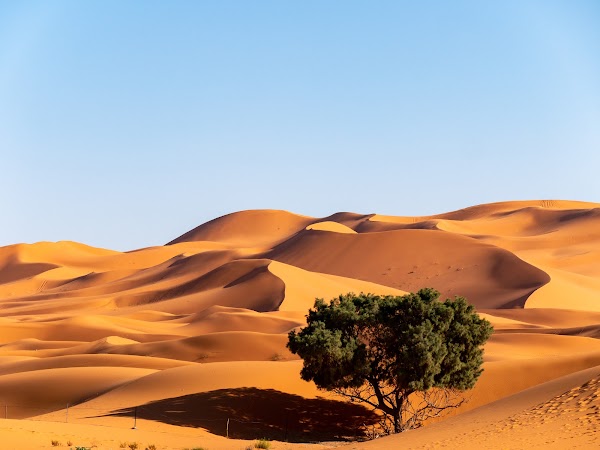 Erg Chebbi