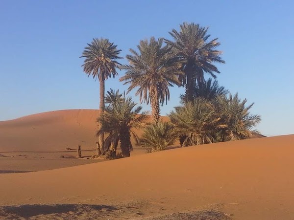 Erg Chebbi 2