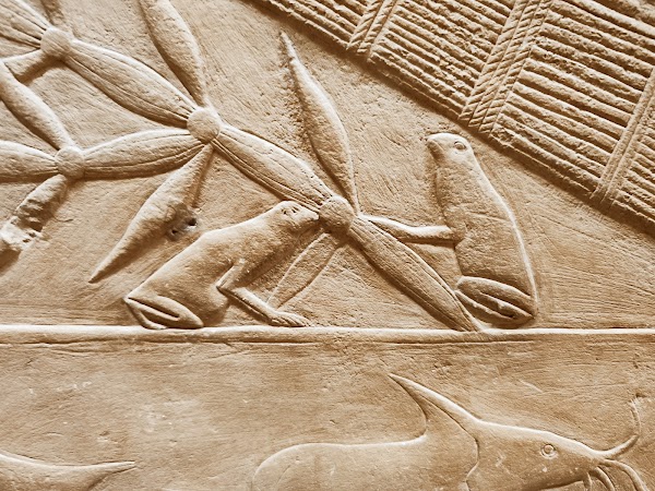 Saqqara Necropolis 4