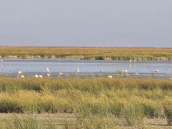 Parque Nacional de Doñana
