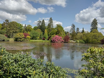 National Trust - Sheffield Park & Garden