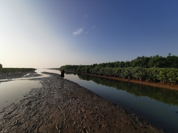 Biển Vô Cực Thái Bình 2