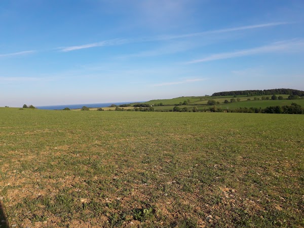 Stantyway Farm 1