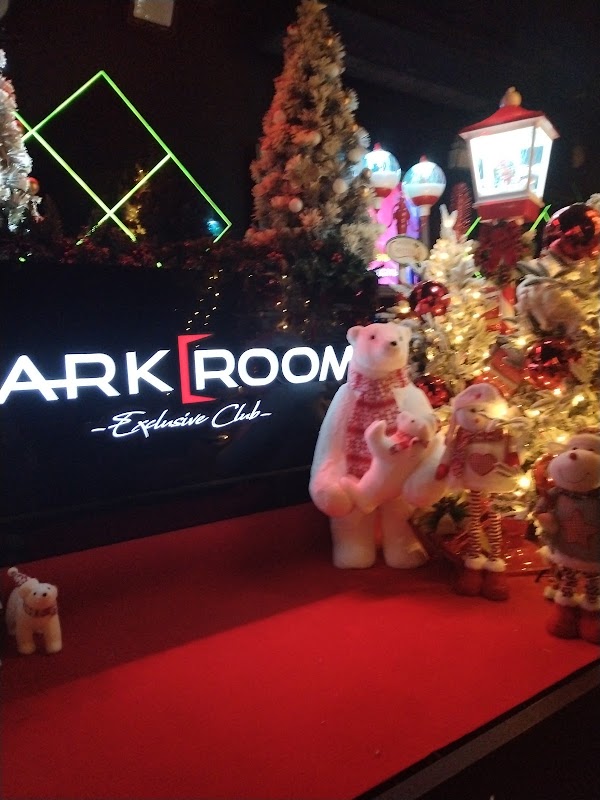 Dark Room Karaoke Bar & Lounge 3