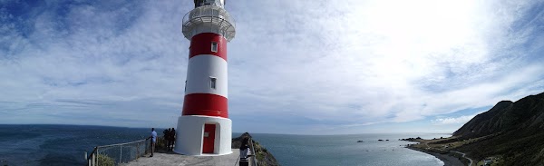 Cape Palliser 4