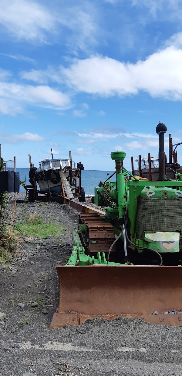 Cape Palliser 3