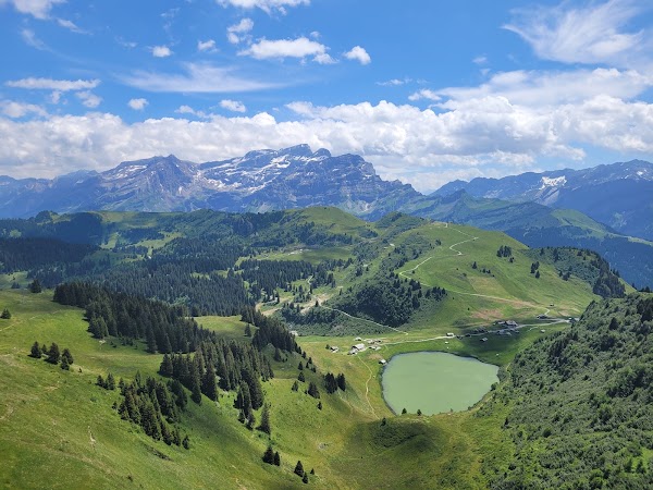 Suisse 56