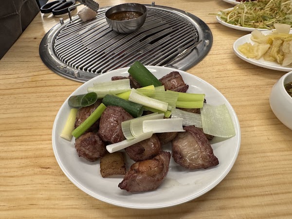 을지갈매기 5