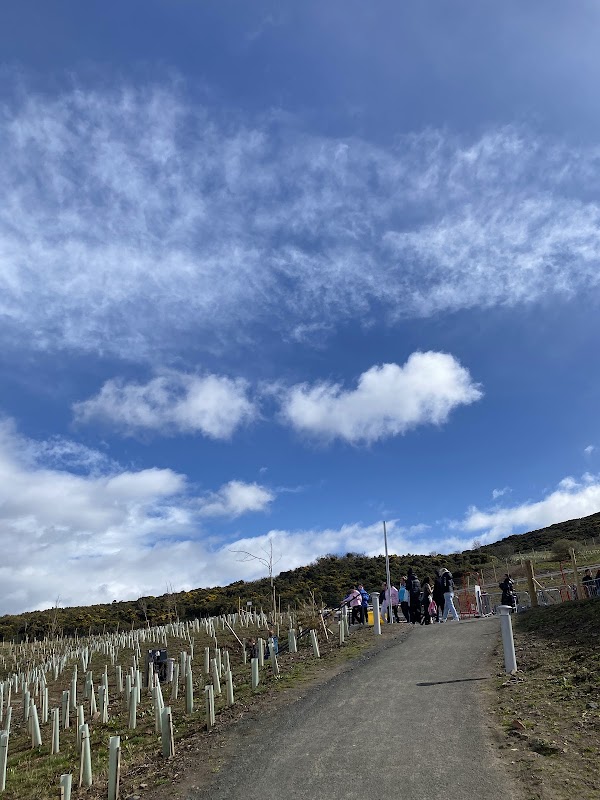 Alpine Coaster 3