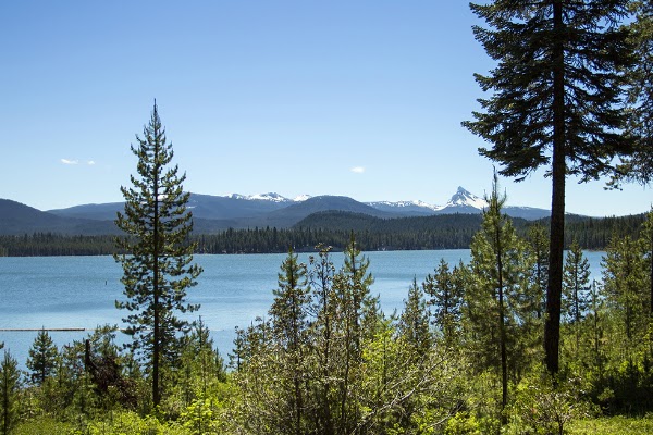Lemolo Lake 5